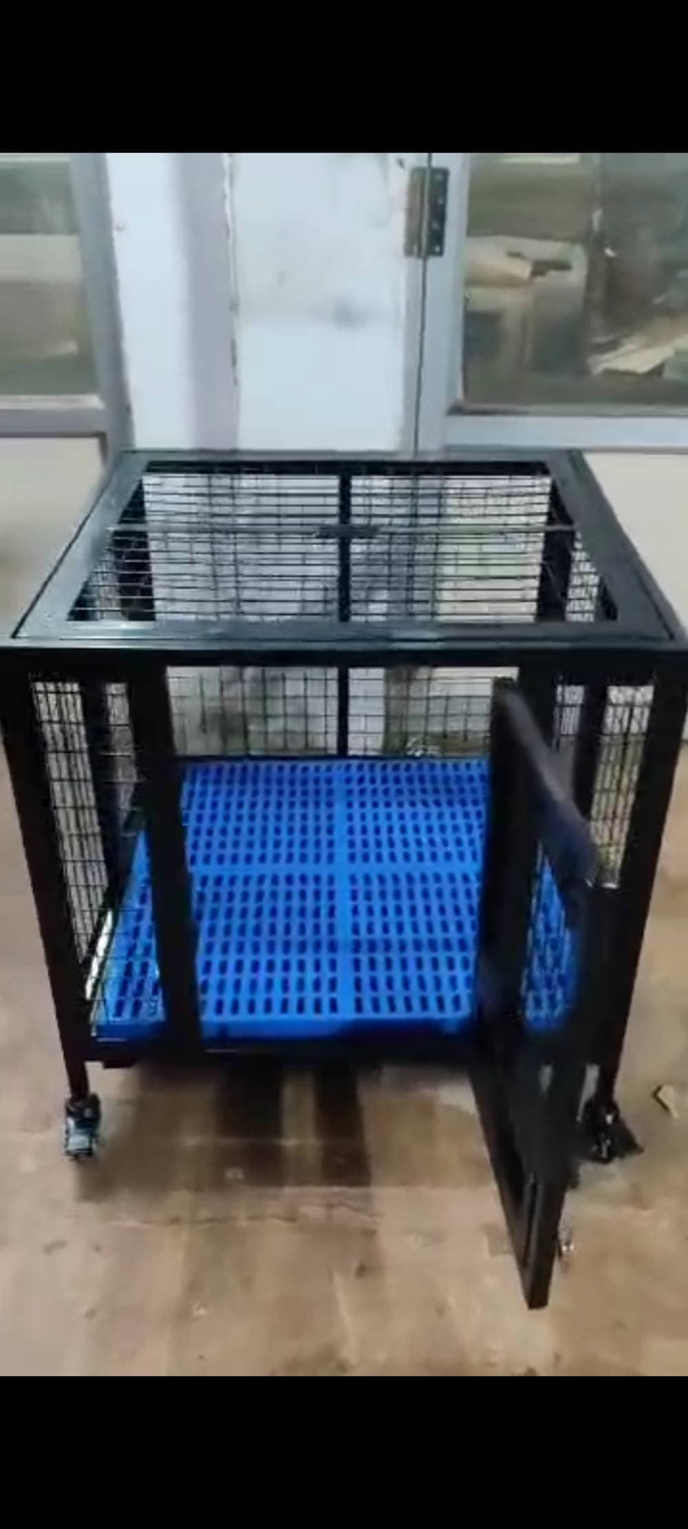 Dog Cages
