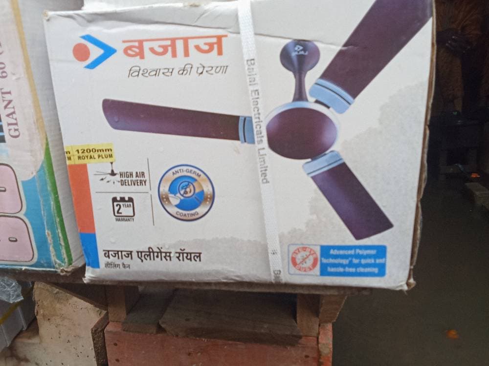Fan