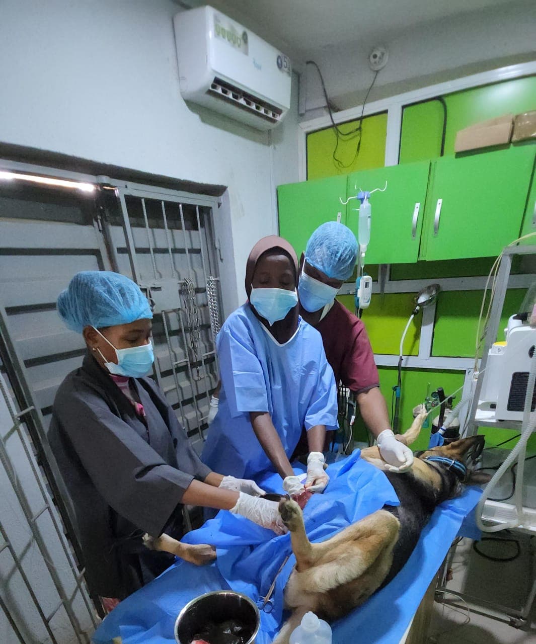 Veterinary Hospital 