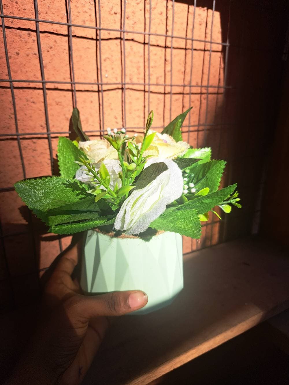 Cup flower