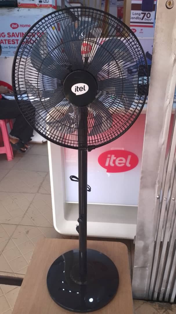 Fans