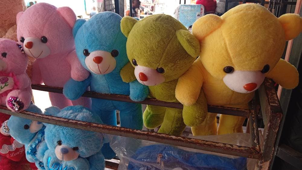 Teddy 🧸